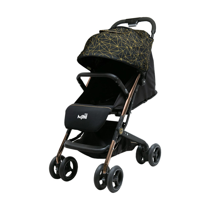 كالسكه مسافرتي دليجان